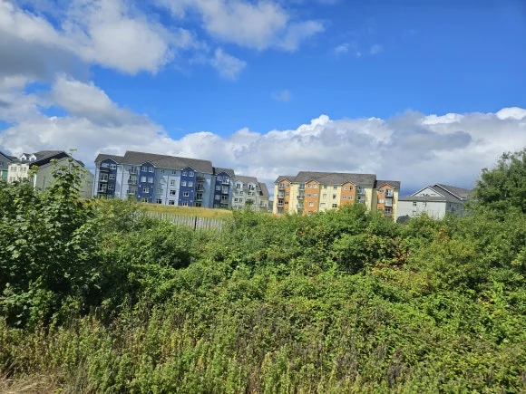 20230718_150849.jpg?type=w580