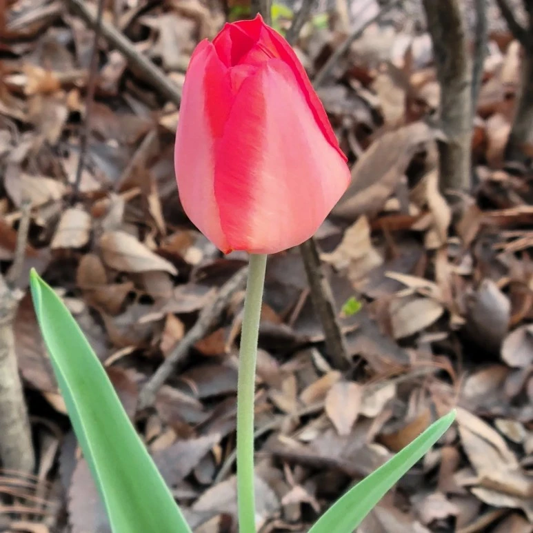 KakaoTalk_20230402_183741133_01.jpg?type=w773