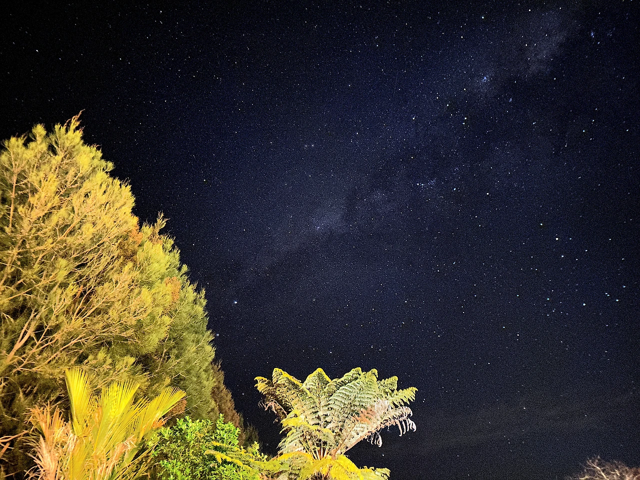 IMG_0437 복사본.jpeg