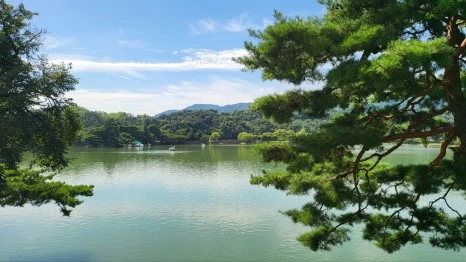 KakaoTalk_20230826_214030208.jpg?type=w466