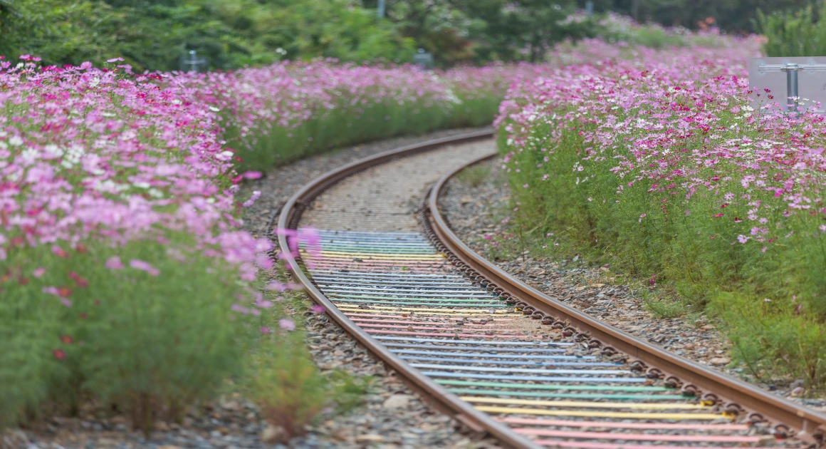 wrtFileImageView.do?wrtSn=13210082&filePath=L2Rpc2sxL25ld2RhdGEvMjAxOC85OC9DTFMxMDAwNi8xMzIxMDA4Ml9DTlRSX0VORF9XUlQyMDE4MTIwNl8x&thumbAt=Y&thumbSe=b_tbumb&wrtTy=10006