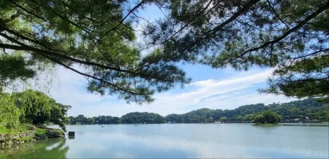 KakaoTalk_20230826_214030208_02.jpg?type=w466