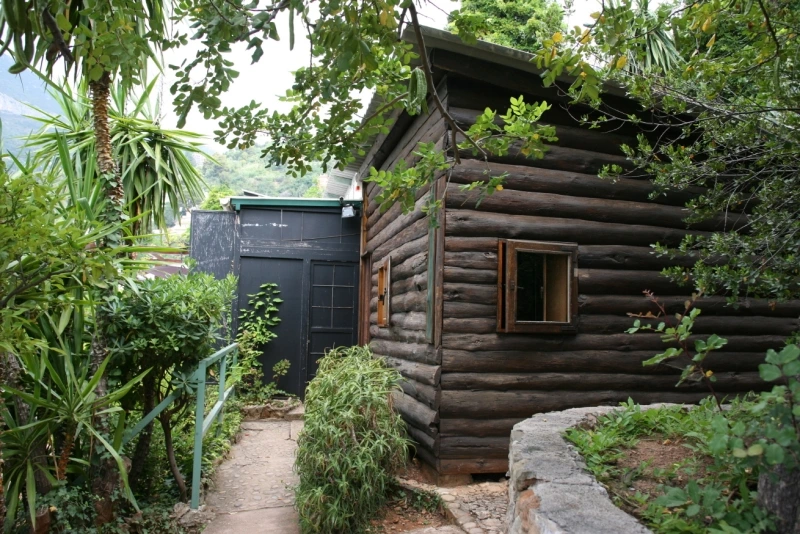 201908201245043109_img_05.jpg?type=w800