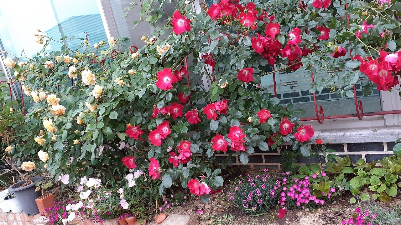 c1902a7f077aaec35c721a2c2b51d5fc933a12be