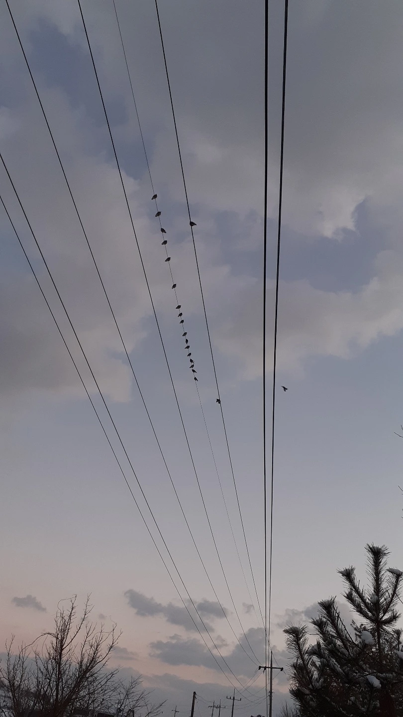 b32c6cfcaaa7b5ab15a4960a0e51c3e4a684a54d