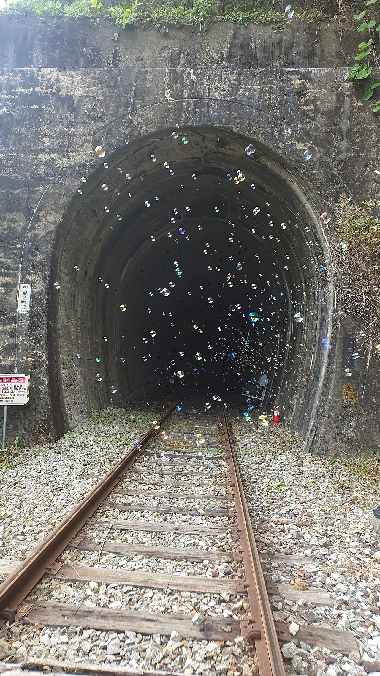 KakaoTalk_20241008_212550715_03.jpg?type=w1600