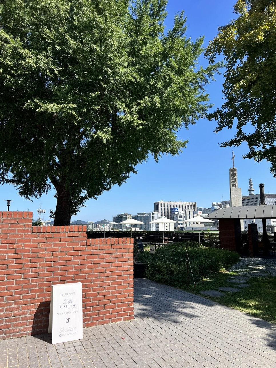 IMG_0170.jpg?type=w966