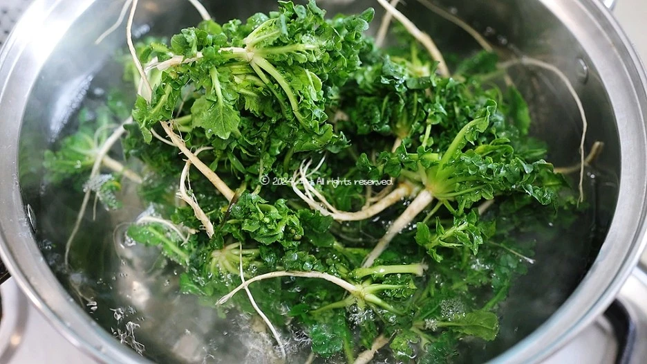 SE-91209e54-d436-4702-a1b7-9f67db687c56.jpg?type=w1