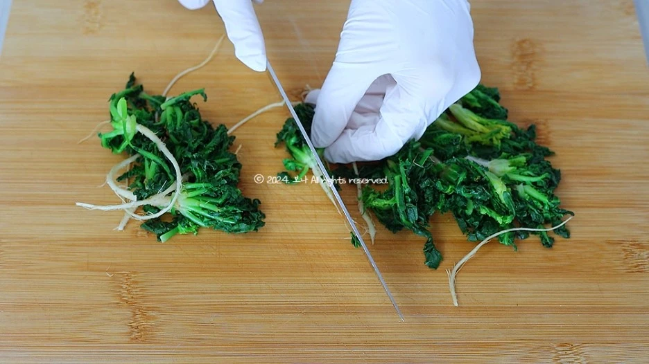 SE-24e839e9-0ff2-44fe-901f-bbf5c41ffde2.jpg?type=w1