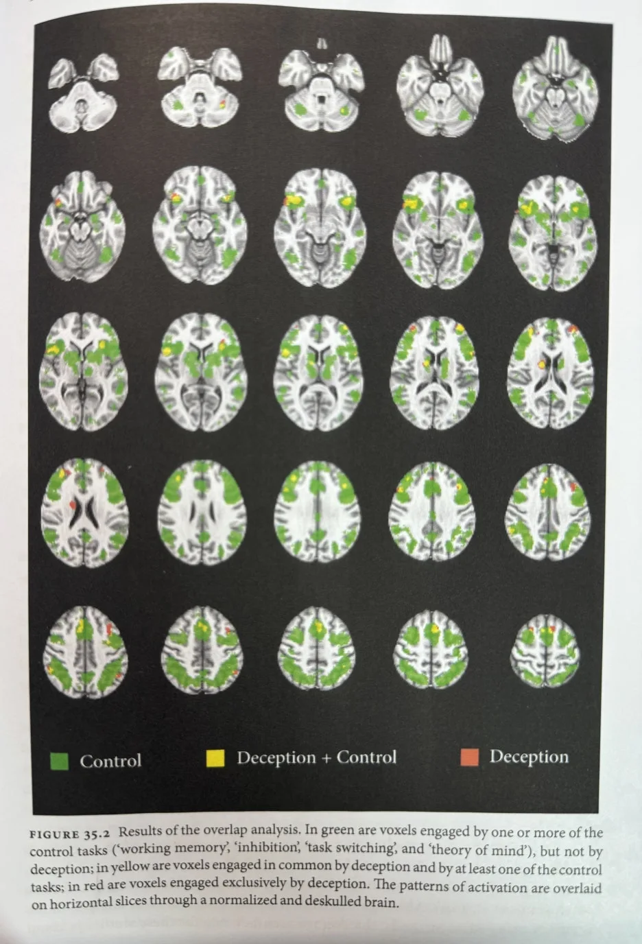 IMG_1419_-_%EB%B3%B5%EC%82%AC%EB%B3%B8.jpg?type=w1