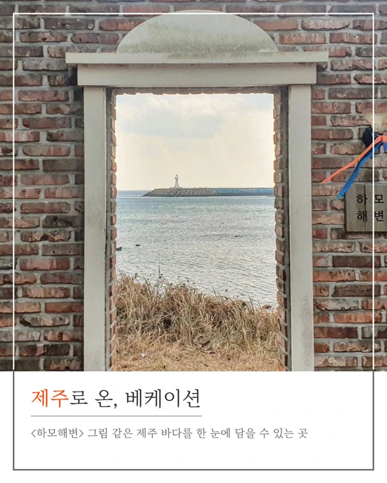 SE-b4348901-adc3-4718-9a12-069e22a1299a.png?type=w1