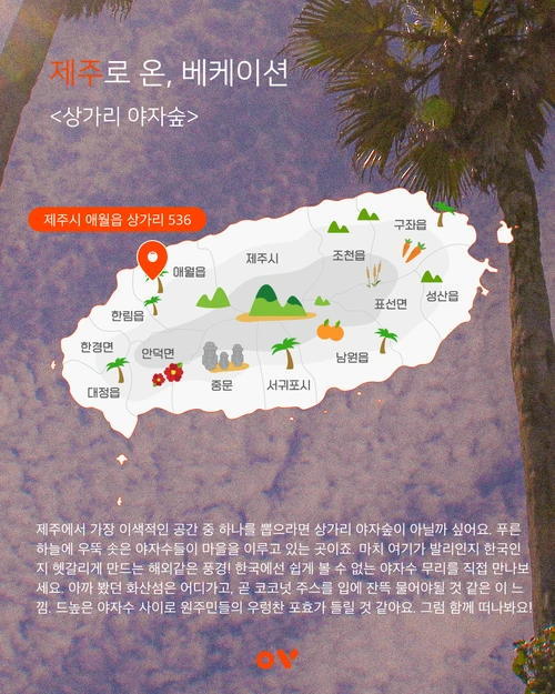 SE-7dd02ded-c92e-4f22-a41a-2cc3b4d47a56.png?type=w1