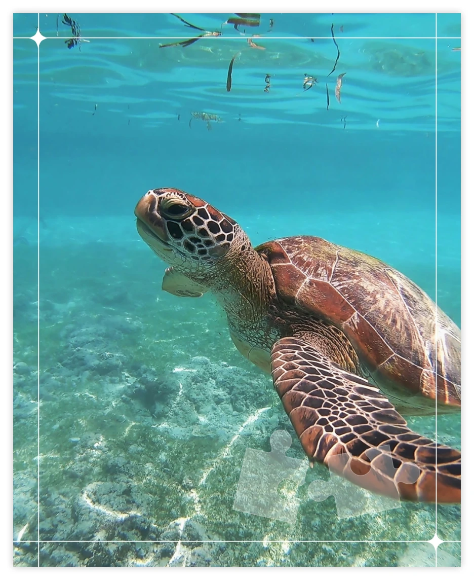 OV_%EC%97%AC%ED%96%89%EC%A1%B0%EA%B0%81_04.png?type=w1