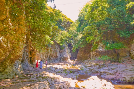 SE-e74c1e9d-e213-45c8-8611-169f6104f2a4.jpg?type=w1