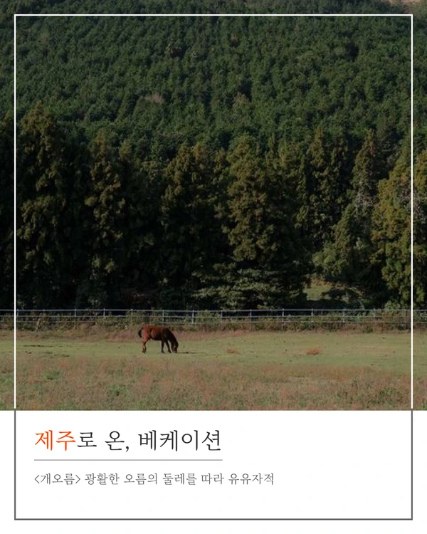 SE-5472b3a7-2ba1-44cb-84e0-b9f86edb3f73.png?type=w1