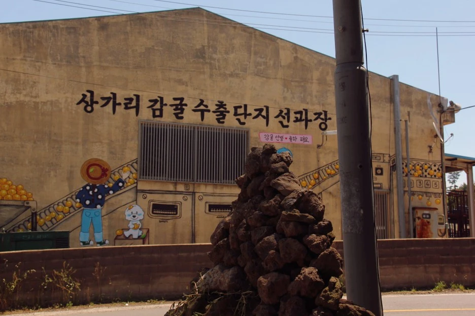 SE-b1cfd610-1cbd-408b-8bdc-91dd11f3ca55.jpg?type=w1