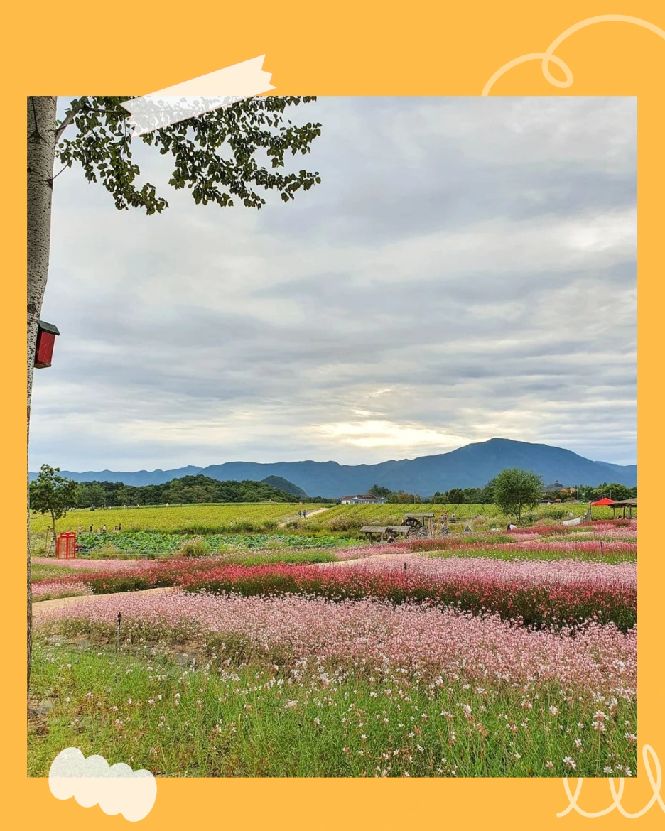 %EA%B3%A0%EC%84%9D%EC%A0%9503.png?type=w1