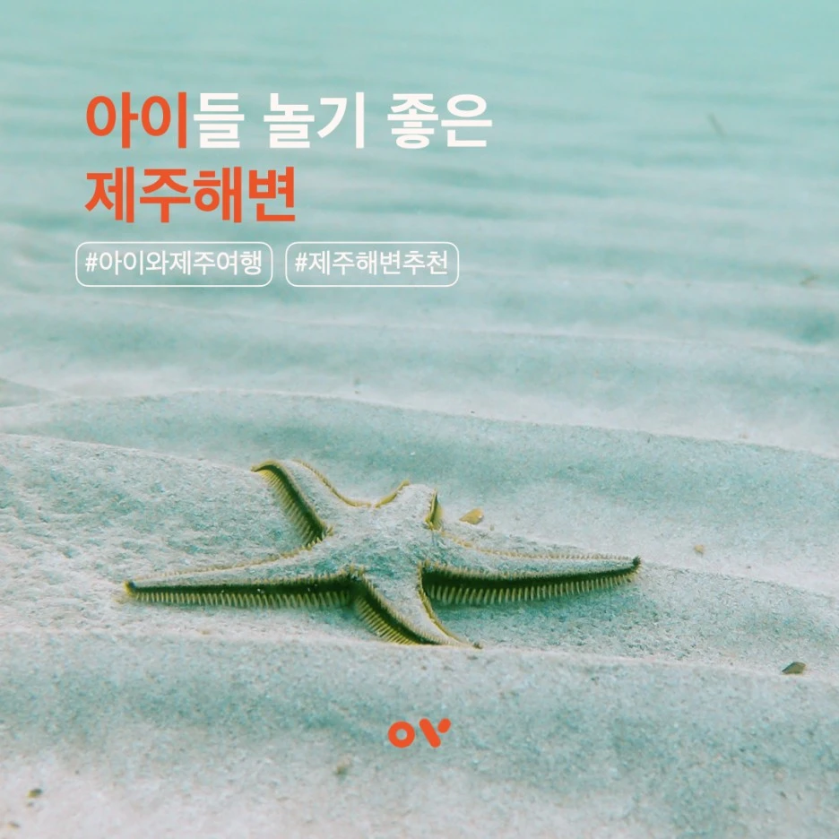 10th_insta_set_아이제주해변.001.jpeg