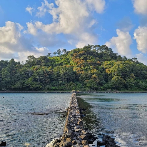 SE-0e1bf06a-42e8-442d-aca7-17bf33ad23b8.jpg?type=w1