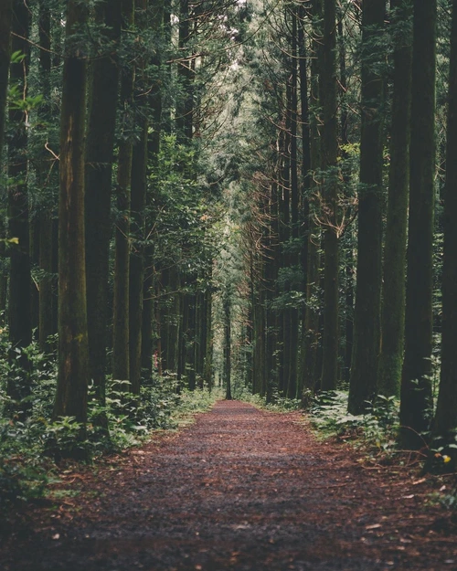 SE-c5ea79be-3667-4476-b329-d48c821800b3.jpg?type=w1