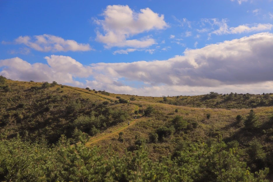 IMG_9816.jpg?type=w1