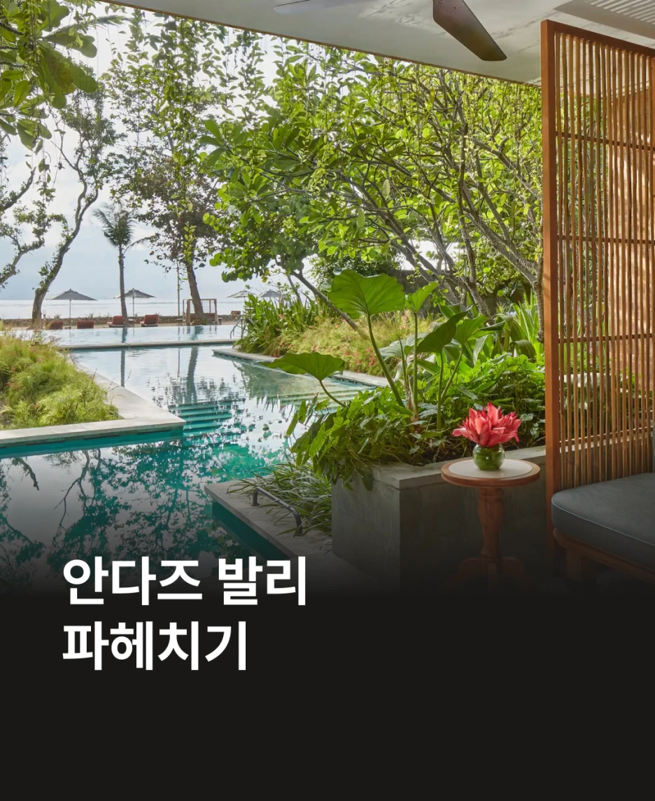 %EC%95%88%EB%8B%A4%EC%A6%88_%EB%B0%9C%EB%A6%AC_%ED%8C%8C%ED%97%A4%EC%B9%98%EA%B8%B0_%EC%8D%B8%EB%84%A4%EC%9D%BC.png?type=w1