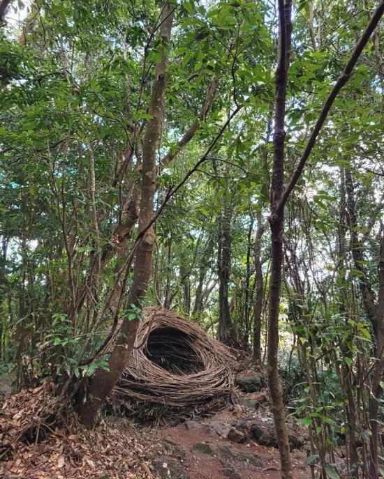 SE-7e54814b-dbec-4a1d-8611-d71eb6fc1403.jpg?type=w1