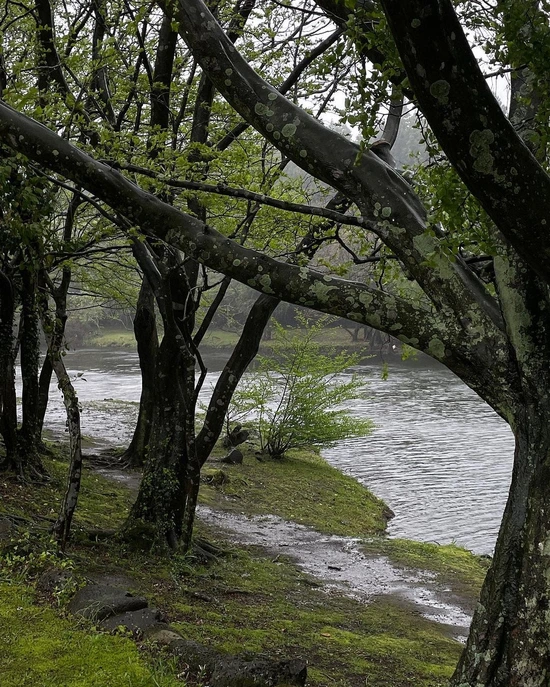 SE-027d2bda-a11e-4f18-9deb-c26e099dfbdd.jpg?type=w1