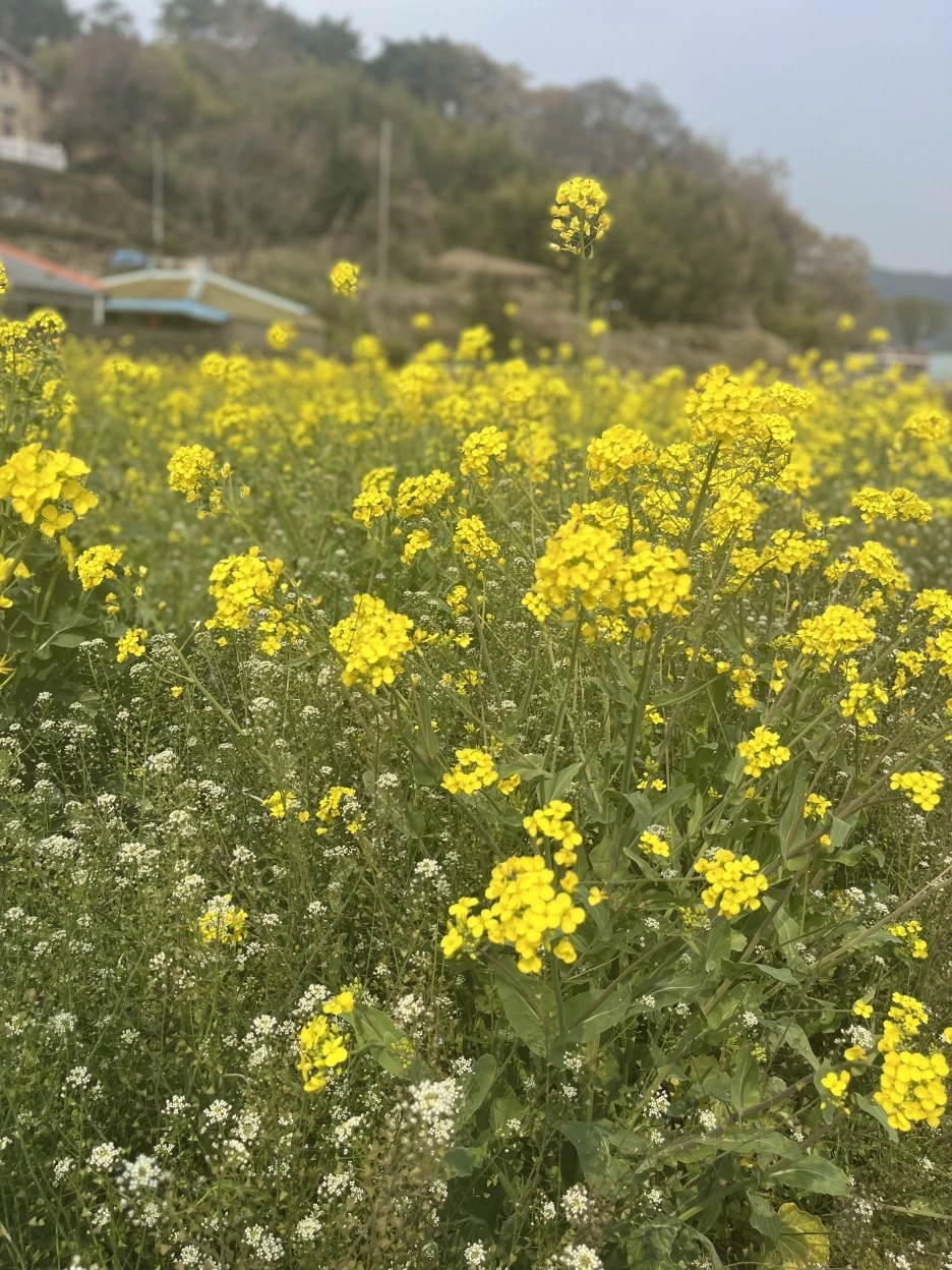 KakaoTalk_Photo_2022-04-07-11-26-30-14.jpeg?type=w1