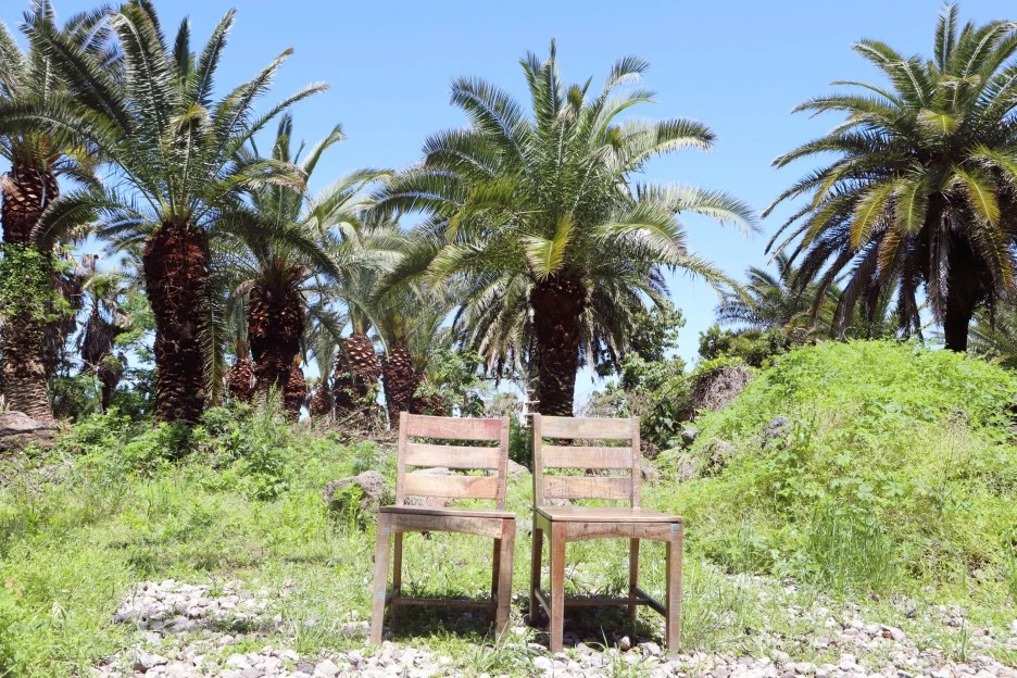 SE-d539eff3-2572-4749-b5ba-cec3dc86620e.jpg?type=w1