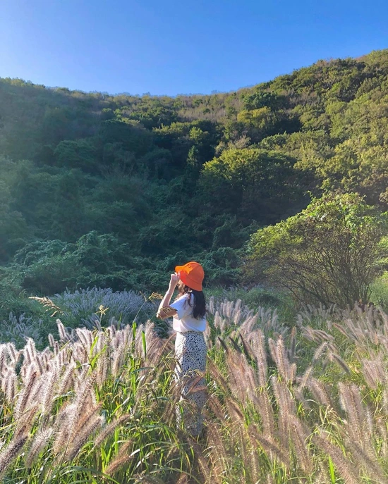 SE-1f9aae0b-1732-4126-b609-b047bdd7ec0b.jpg?type=w1