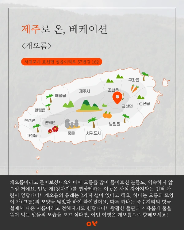 SE-25e001f2-d47b-462b-95a3-ce4514bb6cb0.png?type=w1