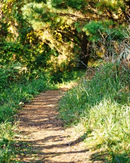 SE-5954329f-1c47-4dc7-ae0f-acd8ee31a6d3.jpg?type=w1