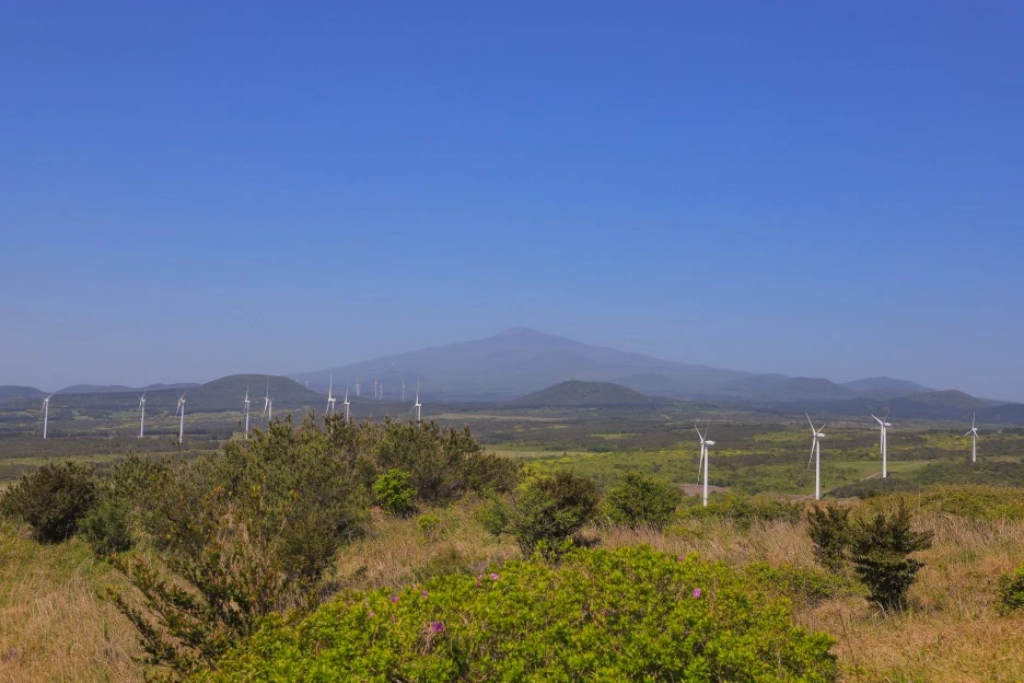 IMG_2604.jpg?type=w1