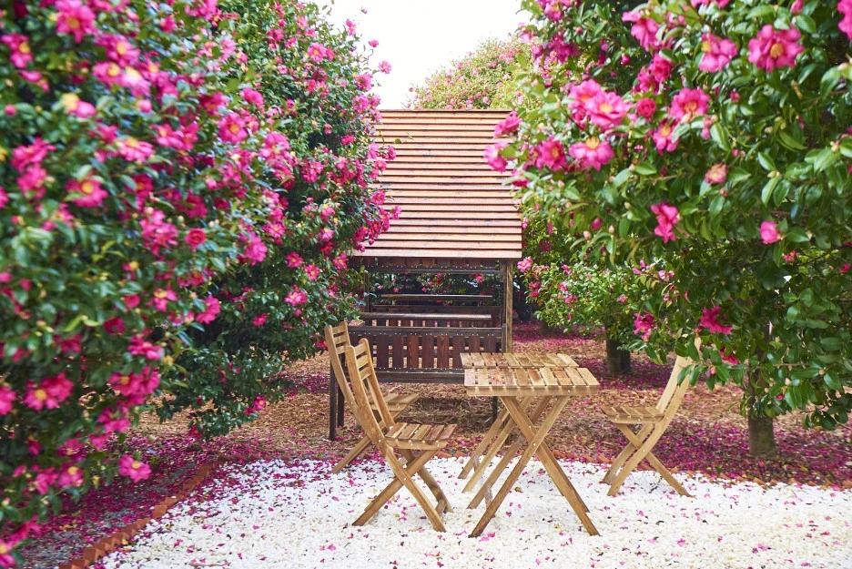 KakaoTalk_Photo_2021-12-18-21-17-38_002.jpeg?type=w1