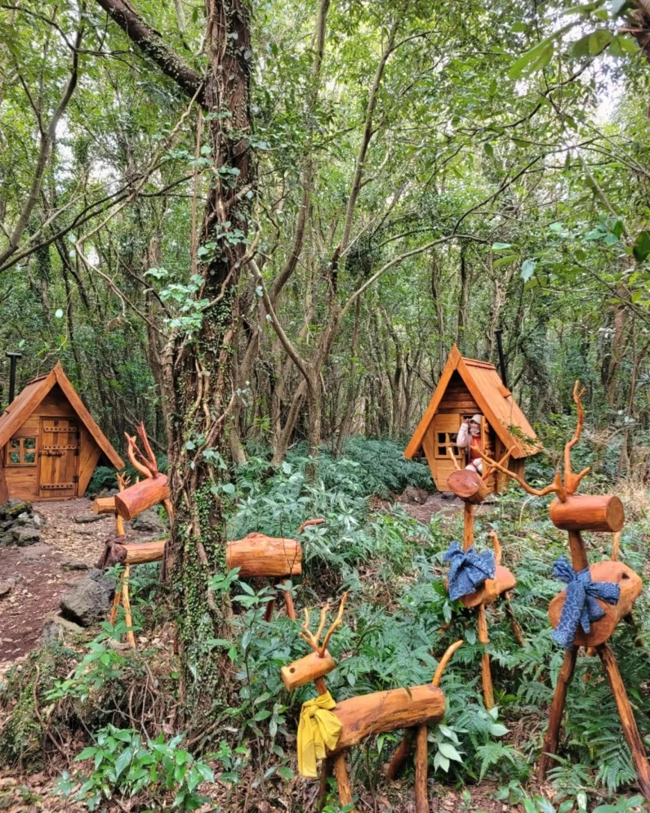 jeju.jy_273924560_1318625355269618_4877990379338276233_n.webp.jpg?type=w1