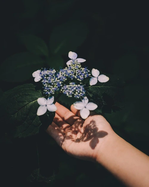 SE-5bcfb13c-e06f-406e-b448-396a80b2f1ac.jpg?type=w1