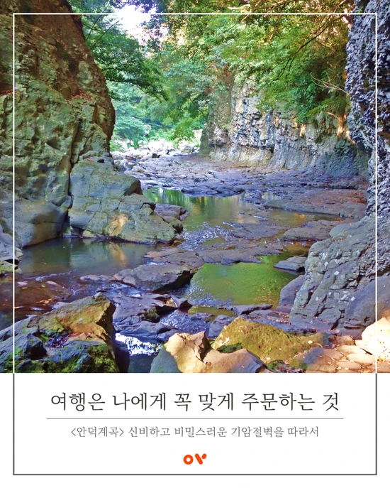 SE-62594c4f-05b5-430b-b824-d4b4d5e6bf70.png?type=w1