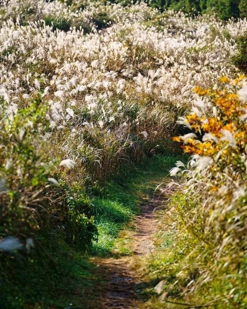 SE-7a2839b9-4717-44b1-acfb-1f3428af1598.jpg?type=w1