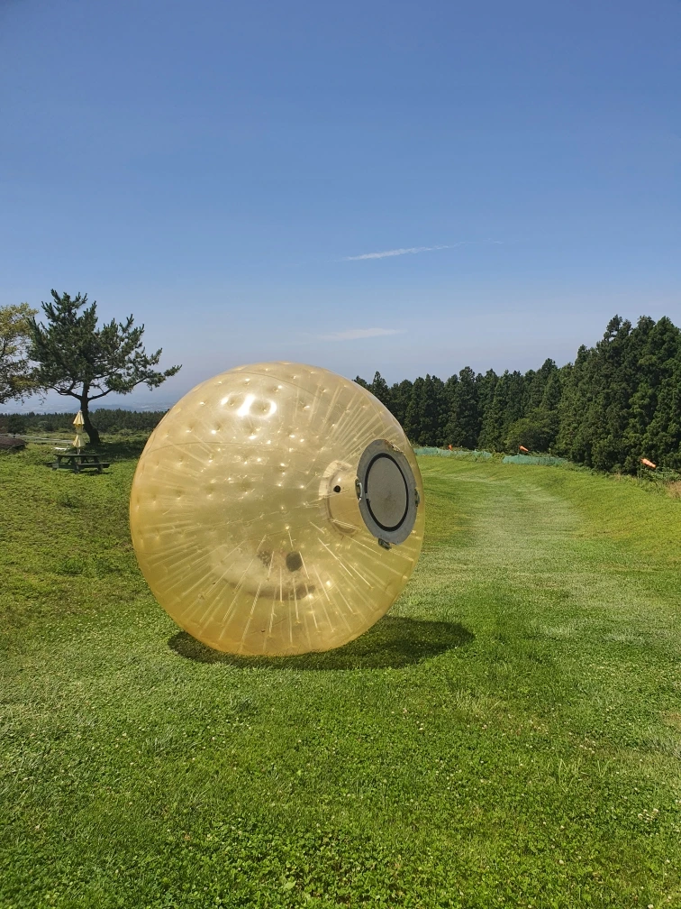 Resized_20210619_133755.jpeg?type=w1