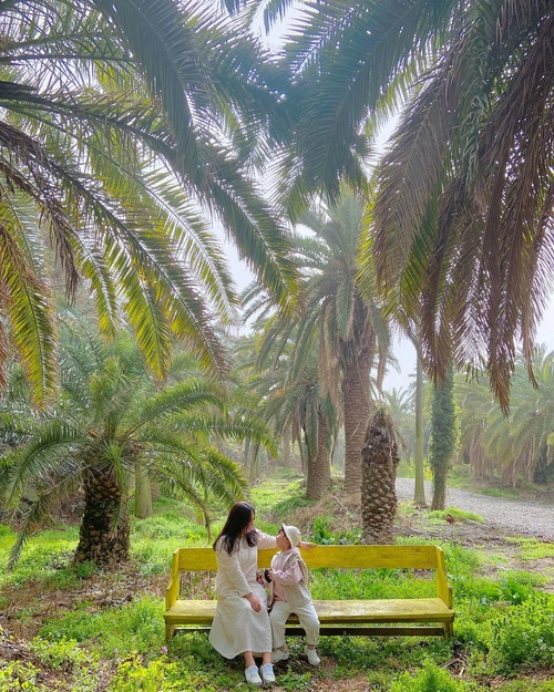 SE-89939d84-7cb1-47d8-85f4-bd637ee4a895.jpg?type=w1