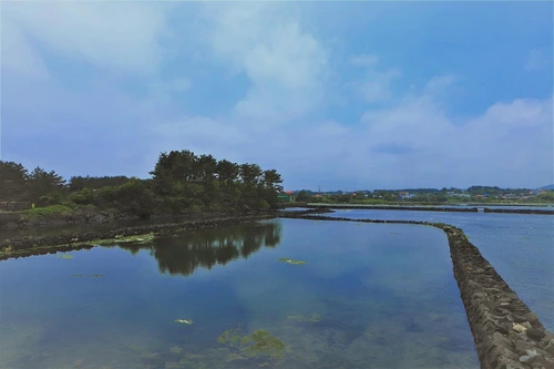 SE-923b3885-7fde-45b6-97c8-a3cd9a20a963.jpg?type=w1