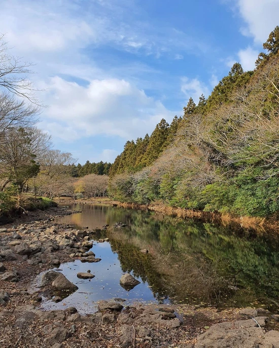 SE-603abfad-225b-47b2-b093-db48d3cd56c9.jpg?type=w1