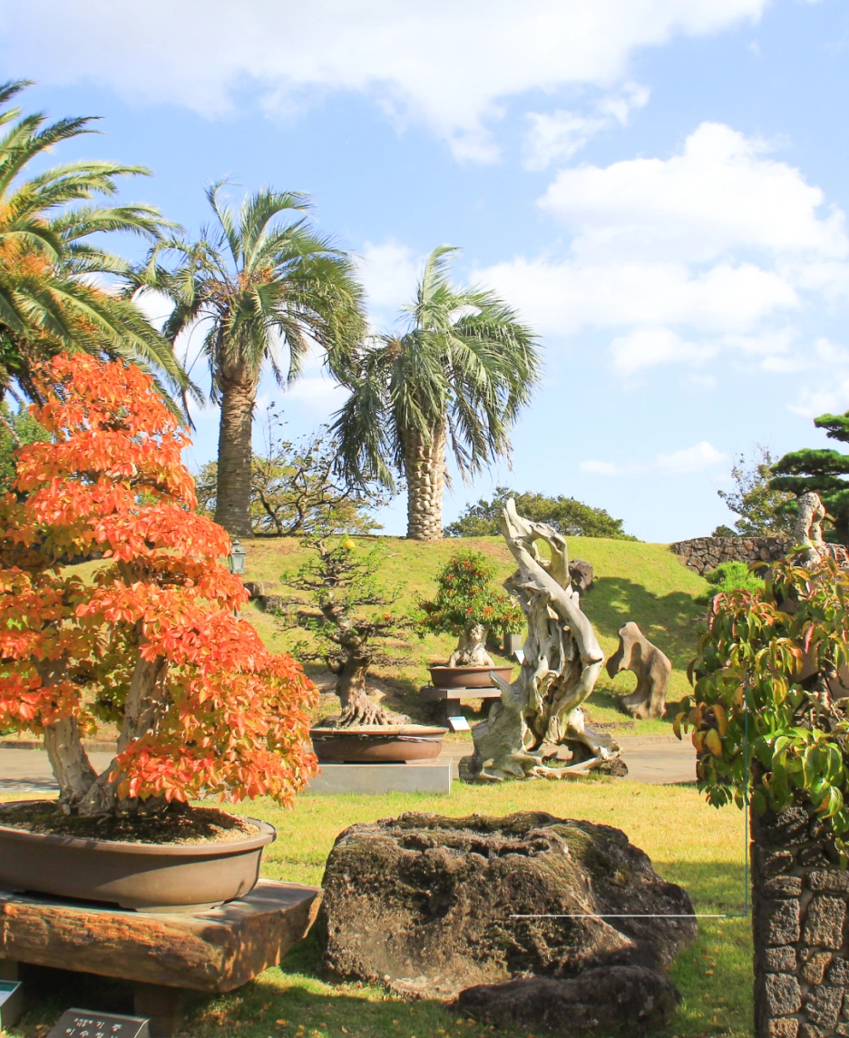 %EC%83%9D%EA%B0%81%ED%95%98%EB%8A%94%EC%A0%95%EC%9B%9005.png?type=w1