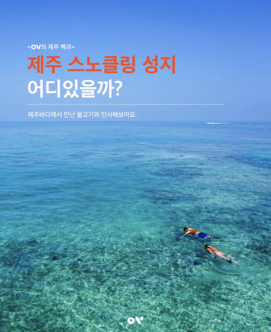 210806_%EC%A0%9C%EC%A3%BC%EC%8A%A4%EB%85%B8%EC%BF%A8%EB%A7%81.001.jpeg?type=w1