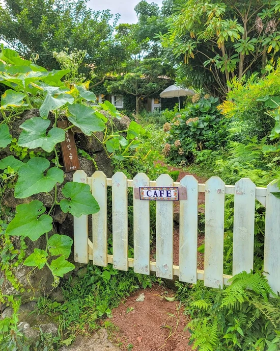 SE-a09b6df2-1761-45ed-8bcf-0ac77b570175.jpg?type=w1