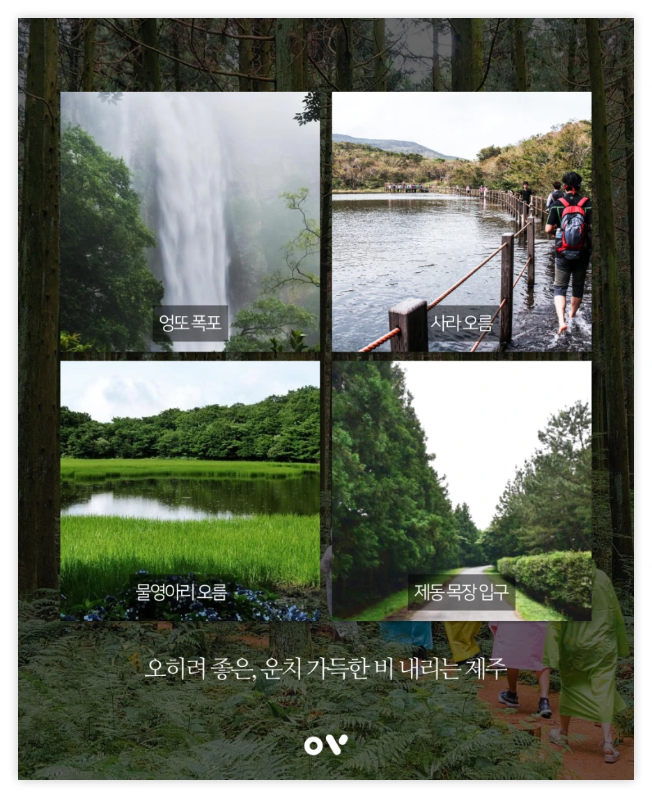 OV%EB%B0%B1%EA%B3%BC_04.png?type=w1