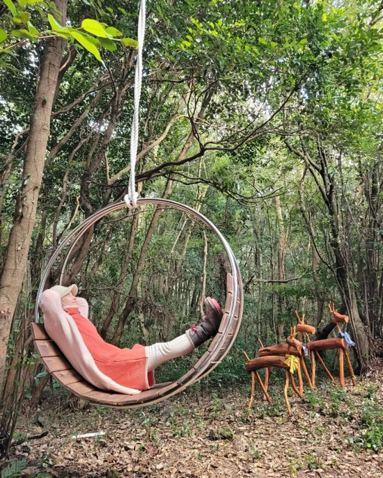 SE-695ec5b2-71f3-436a-9bed-239e5f914efd.jpg?type=w1