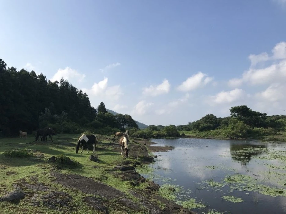 %EC%98%A4%ED%94%84%EB%A1%9C%EB%93%9C7.jpeg?type=w1