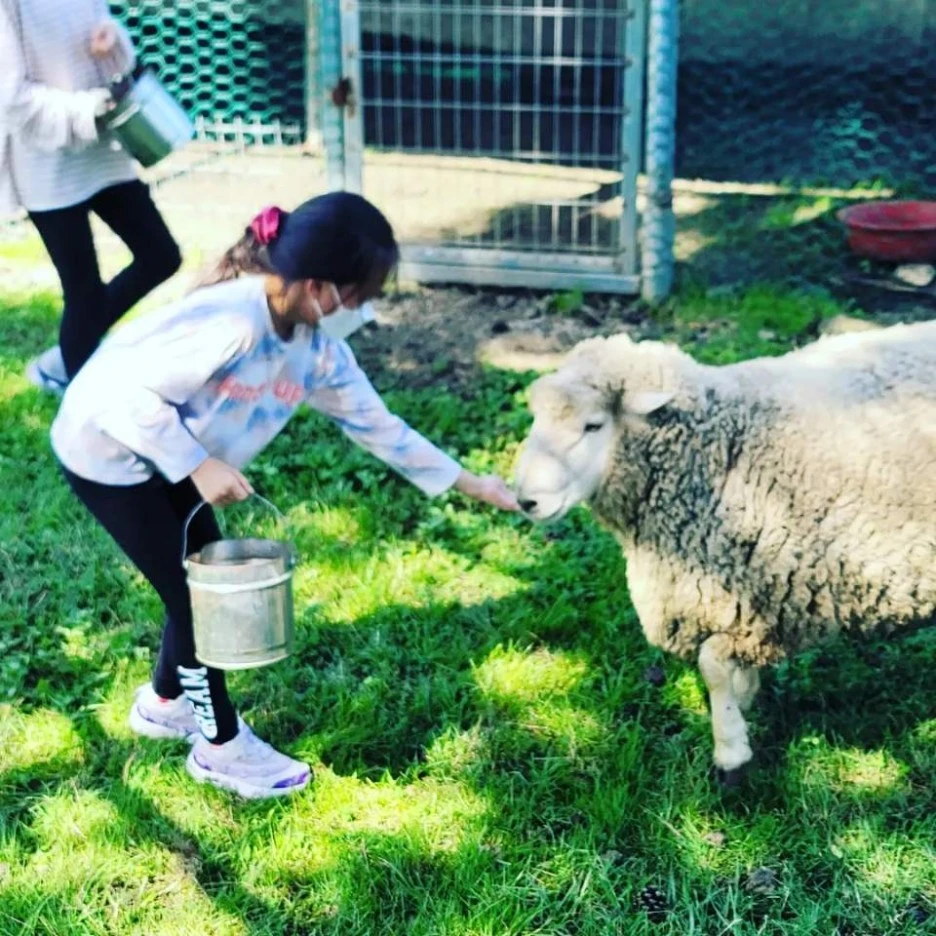 Resized_IMG_20211003_125303_074.jpeg?type=w1